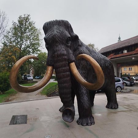Apartma Mamut 1850 Kamnik Kültér fotó